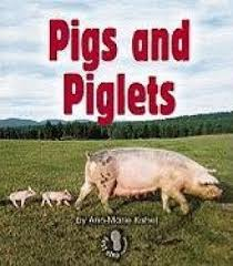 Pigs and Piglets: Animal Families (First Step)
