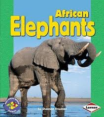 African Elephants (Pull Ahead - Animals)