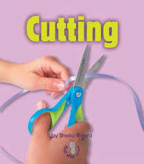 Cutting: Changing Matter (First Step)