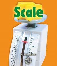 Scale: Simple Tools (First Step)