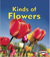 Kinds of Flowers: Kinds of Plants (First Step)