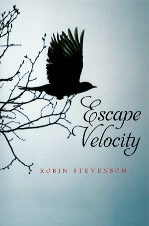 Escape Velocity (Orca Fiction)