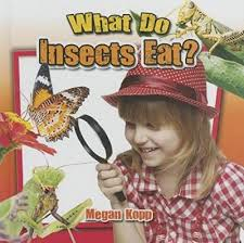 What Do Insects Eat?: Insects Close-Up