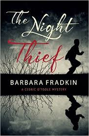 The Night Thief (Rapid Reads Crime)