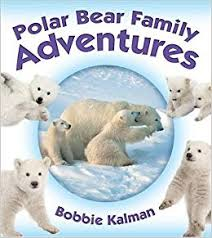 Polar Bear Family Adventures: Animal Family Adventures