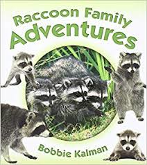 Raccoon Family Adventures (Animal Family Adventures)