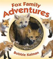 Fox Family Adventures (Animal Family Adventures)