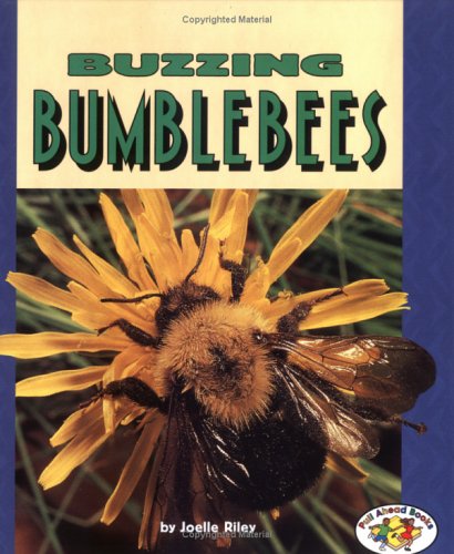Buzzing Bumblebees (Pull Ahead - Animals)