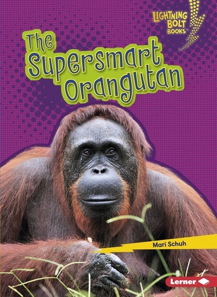 Lightning Bolt Books — Supersmart Animals: The Supersmart Orangutan