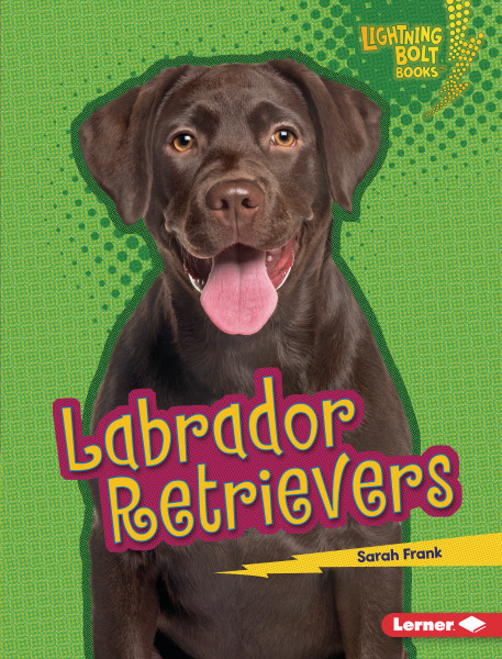Lightning Bolt Books - Who's a Good Dog?: Labrador Retrievers