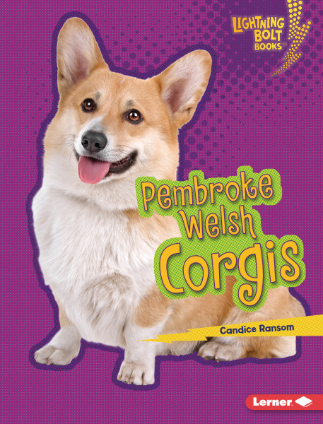 Lightning Bolt Books - Who's a Good Dog?: Pembroke Welsh Corgis