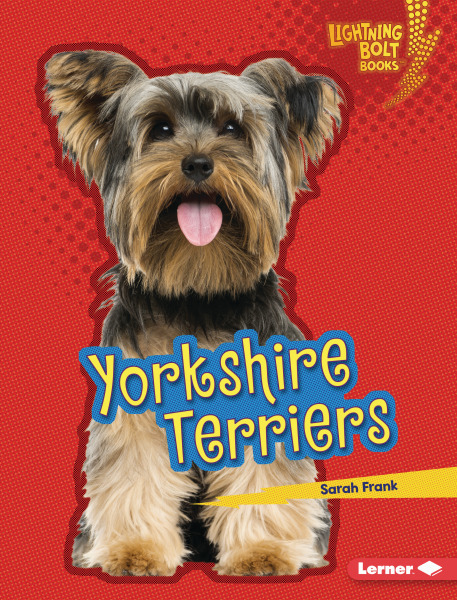 Lightning Bolt Books - Who's a Good Dog?: Yorkshire Terriers