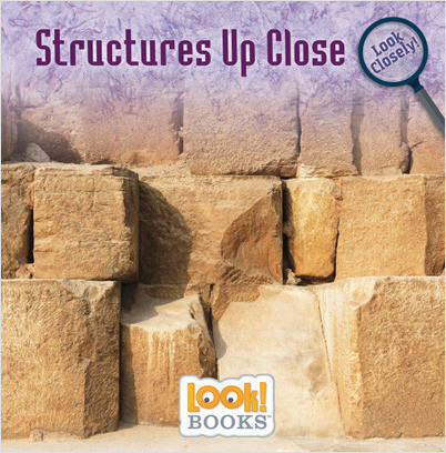 Look Closely (LOOK! Books ): Structures Up Close