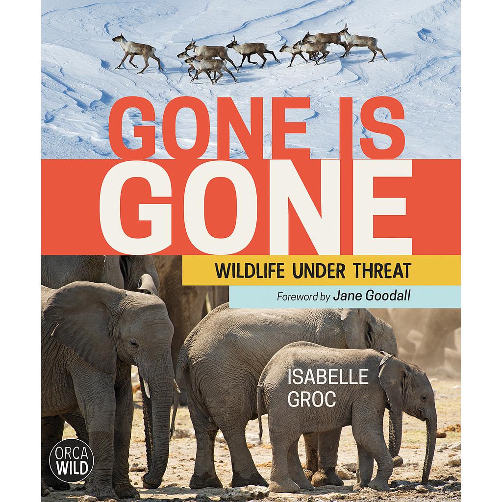 Gone is Gone: Wildlife Under Threat
