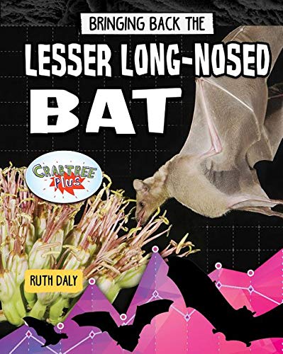 Bringing Back the Lesser Long-Nosed Bat