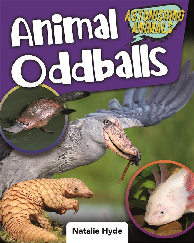 Animal Oddballs