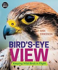 Bird's Eye View: Keeping Wild Birds in Flight